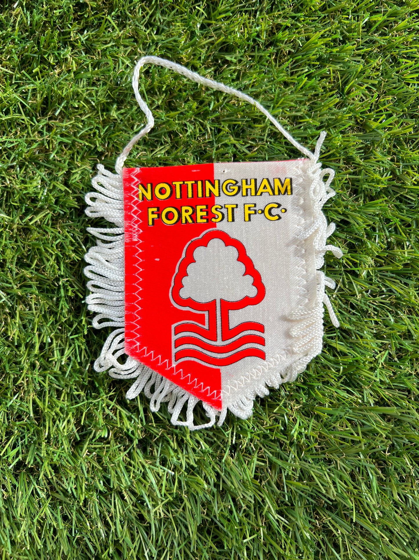 Fanion football Nottingham Forest Fc