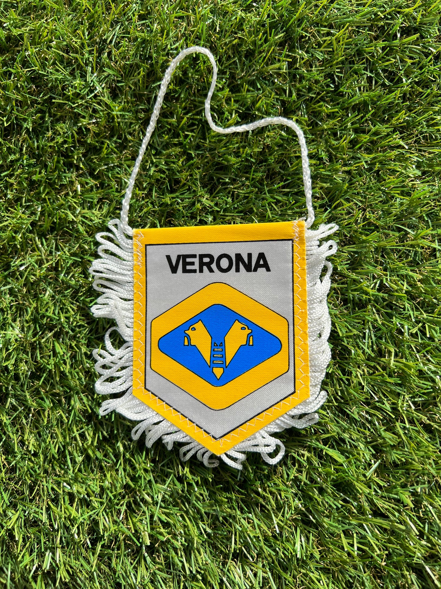 Fanion football Hellas Verona